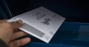 State Sued for Counting Near 2% of Ballots After Election Day.