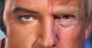 Donald Trump thinks he looks like Elvis Presley - and shared a photo of his face spliced against the King of Rock's Saturday as proof. The somewhat unsettling result is seen here