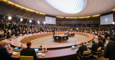 Sweden Joins NATO After Hungary's Obstruction Abruptly Ends – RedState