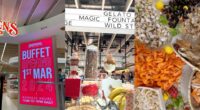 Swensen's Unlimited buffet to open on March 1 at Changi Airport with halal menu & 48 ice cream flavours - Mothership.SG