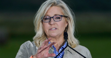 T.K.O! Trump Jr. Reminds Liz Cheney That Wyoming Decided She Was NOT FIT to Serve in VICIOUS Takedown