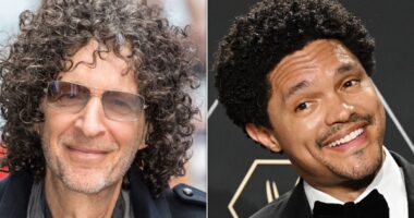 TV personality Howard Stern mocks comedian Trevor Noah, says he had a