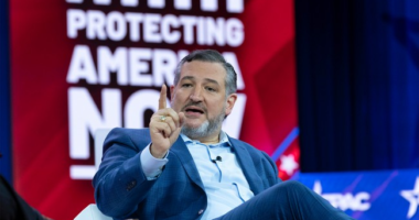 Ted Cruz Not Sure Mitch McConnell Would Run Again If Trump Wins, 'Lot of Bad Blood' Between the Two – RedState