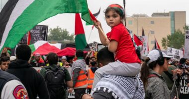 Texas Man Accused Of Stabbing Palestinian American Attending Cease-Fire Protest