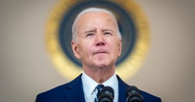 The Atlantic: Democrats Should Pick a Replacement for Biden ASAP
