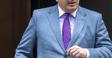 Sir Michael Ellis (pictured) said the BBC's impartiality had been brought into 'disrepute' over its coverage of Israel and Hamas