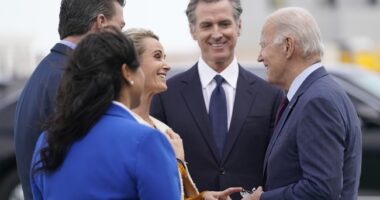 The Blind Leading the Stupid – RedState