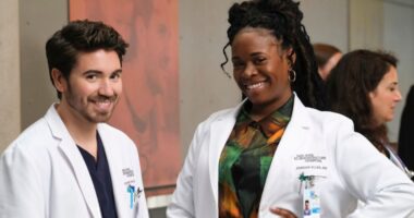 'The Good Doctor' Season 7 — Everything We Know So Far About the Final Season