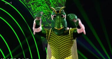 The Masked Singer UK's Cricket's was revealed to be Fame Academy star Lemar during Saturday's final