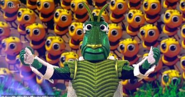 The Masked Singer UK viewers are convinced they know Cricket's true identity after the character blew fans and judges away with their incredible singing voice