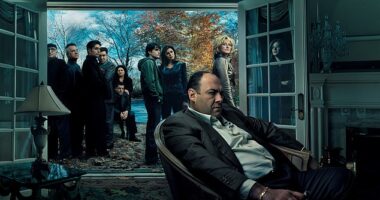 The Sopranos was a groundbreaking work of genius... so why does its creator think it would not be made today? According to David Chase the golden age of television is dead