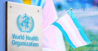 The WHO is Putting Radical Trans Activists in Charge of Gender Guidelines.