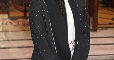 Alexandra Burke has scored a role in a new television show 16 years after winning The X Factor (pictured in December last year)