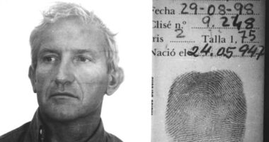 Noye is on licence from a life sentence for stabbing to death Stephen Cameron in 1996 and then fleeing to Spain