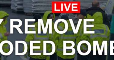 The world joins Plymouth bomb watch! Webcams livestream several areas hoping to catch moment unexploded device is removed from family home and taken out to sea