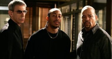 This Multi-Episode 'Law & Order SVU' Storyline Reveals Fin's Hidden Truth