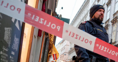 Three Women Found Dead in Legal Brothel in Vienna, Suspect Arrested