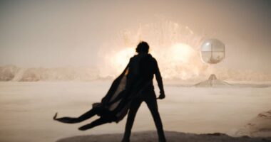 Timothée Chalamet Reveals What His Dune: Part Two Sandworm Scenes Felt Like