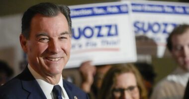 Democrat Tom Suozzi captured a victory in the special election for New York's Third congressional district to replace serial fabulist and former Rep. George Santos. The Associated Press projected that Suozzi triumphed over Republican Mazi Pilip with 52 percent of the total vote counted.