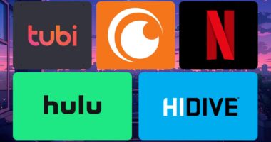 Top 5 Anime Streaming Websites