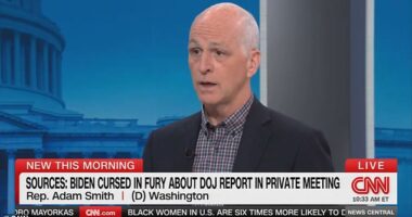 Rep. Adam Smith, D-Wash., said that Biden's age will be a 'challenge' for his campaign