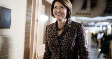 Cathy McMorris Rodgers, chairwoman of the powerful Energy and Commerce Committee, will not be seeking re-election, making her the third high-profile committee chair to announce retirement this term