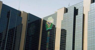 Travel allowances by cash no longer permitted ? CBN