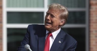 Trump: If Biden 'Too Mentally Incompetent to Convict,' He’s Unfit to Serve