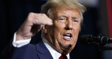 Trump Indicates Strong Support for IVF After Alabama Supreme Court Ruling – RedState