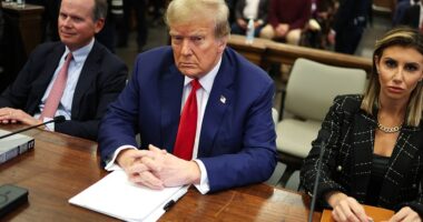 Trump Lawyer Alina Habba slammed the devastating ruling that the former president pay a whopping $355 million in the New York civil fraud trail, dealing a crushing blow to the man who has long touted his vast real estate empire. 'This verdict is a manifest injustice - plain and simple,' Alina blasted the decision in a statement provided to DailyMail.com. 'It is the culmination of a multi-year, politically fueled witch hunt that was designed to "take down Donald Trump," before Letitia james ever stepped foot into the Attorney General's office.'