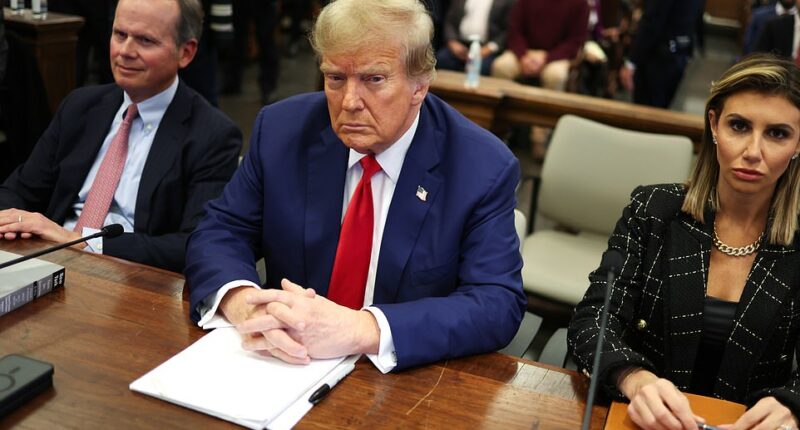 Trump Lawyer Alina Habba slammed the devastating ruling that the former president pay a whopping $355 million in the New York civil fraud trail, dealing a crushing blow to the man who has long touted his vast real estate empire. 'This verdict is a manifest injustice - plain and simple,' Alina blasted the decision in a statement provided to DailyMail.com. 'It is the culmination of a multi-year, politically fueled witch hunt that was designed to "take down Donald Trump," before Letitia james ever stepped foot into the Attorney General's office.'