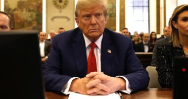 Trump not immune from election subversion charges - U.S. appeals court rules in blow to former president