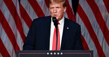 Former President Donald Trump said at his victory party in Las Vegas Thursday night that he wanted the general election to be held now