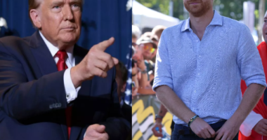 Trump slams Prince Harry for