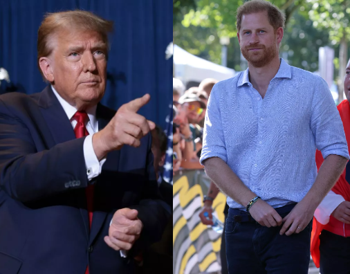 Trump slams Prince Harry for