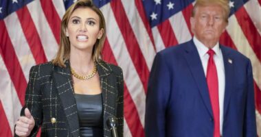 Trump's J6 Trial is Back On Hold – HotAir