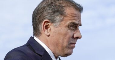 Turley Takes Samurai Sword to Hunter's Gun Charge Arguments, Slices and Dices 'Delusional' Claims – RedState