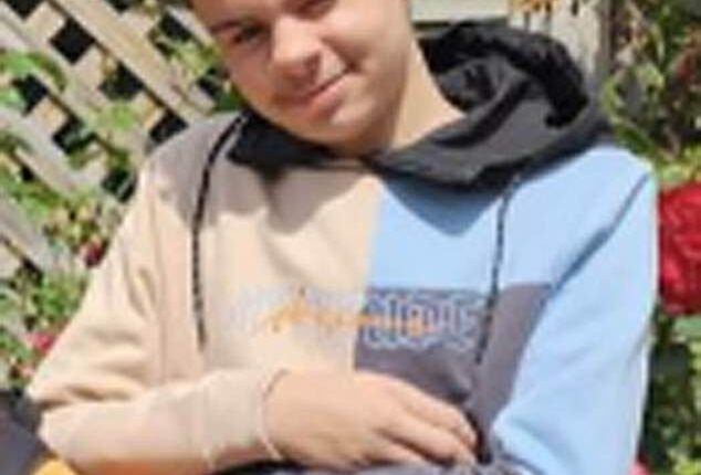 Two teenage boys have been charged with the murder of 16-year-old Darrien Williams (pictured), who was stabbed to death in Bristol park last week