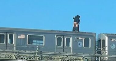 Two men are seen enjoying an afternoon delight as they had sex on top of the 7 subway train on Friday around 1.20pm as it crossed the raised tracks above the Van Wyck Expressway