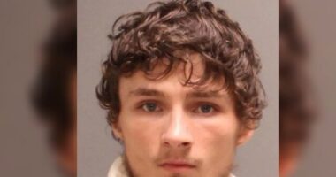 VIDEO: Armed Philadelphia Biker Pleads Guilty to Head-Butting Woman as Children Watched