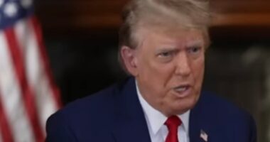 [VIDEO] Donald Trump Mentions Two Names When Discussing Vice President Candidates