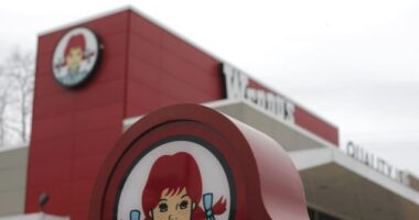 VIDEO — 'It's Not Fair': Customers Disheartened as Wendy's Plans to Test Surge-Pricing