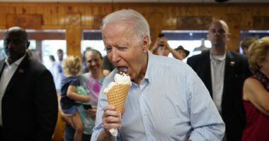 Vacationing Joe Biden Scolding Republicans for Vacationing and 'Not Funding NATO' Goes SO Wrong (Watch)