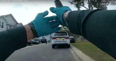 Video: Deputy Fires At Unarmed Suspect, Apparently Mistaking Acorn For Gunshot