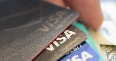 Visa, Mastercard, American Express Implementing Code to Track Gun Purchase Information in California