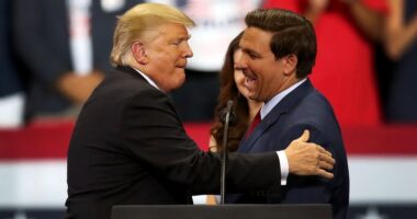 WAX: Good Faith DeSantis Backers Are Welcome Back in Magadonia!