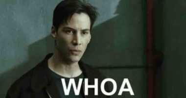 WHOA: Adjust Your Tinfoil Because THIS Tweet Predicted the Super Bowl Nearly 2 WEEKS Before the Game