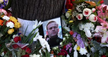 Watch live: Alexei Navalny vigil held outside Russian embassy in London