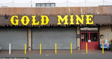 Gold Mine amusements on the once-bustling Canvey Island seafront is shuttered up