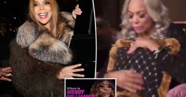 Wendy Williams' guardian files sealed lawsuit against Lifetime's parent company A&E
